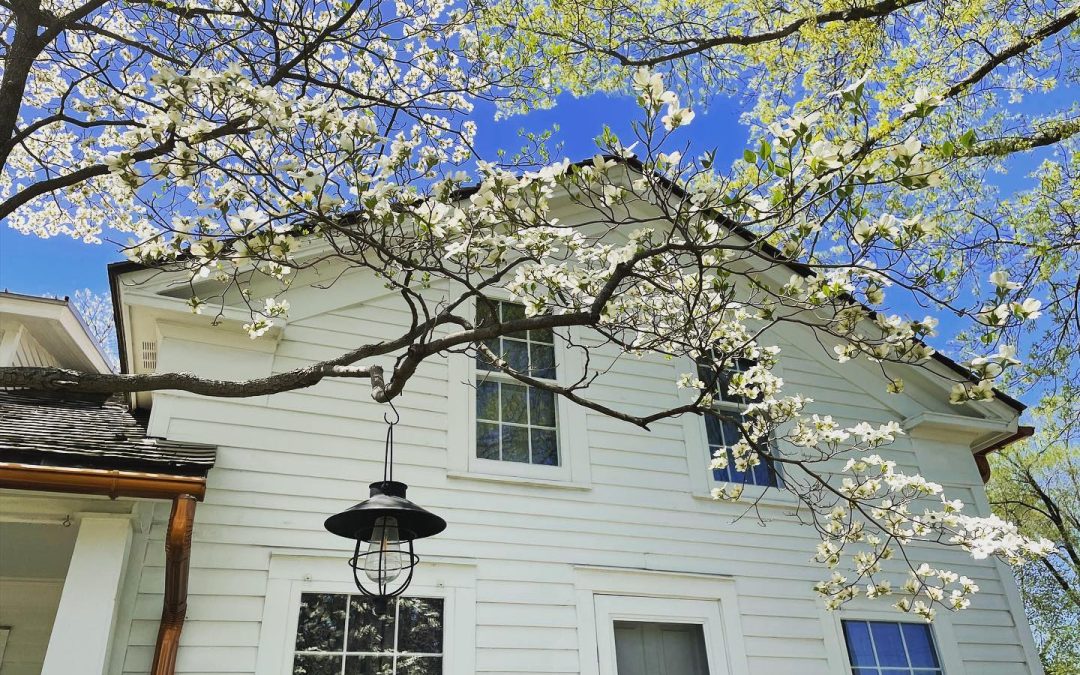 Preserving the Past: The Orson Starr House in Royal Oak