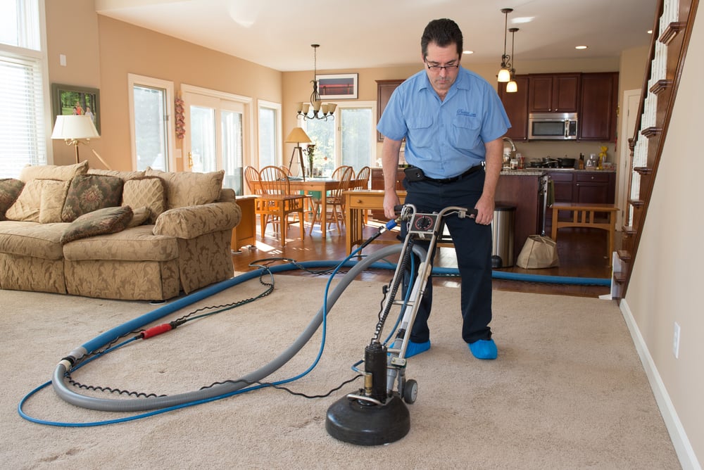 Locally Established, Globally Celebrated: Pristine Clean’s Pioneering Approach to Carpet Care