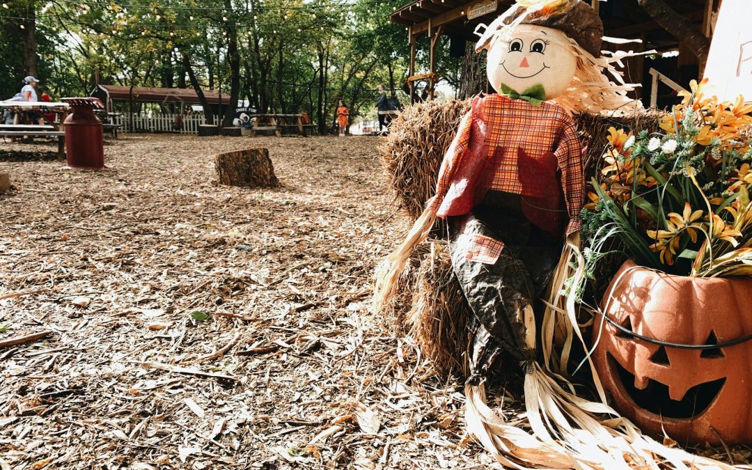 Royal Oak’s Fall Guide: From Leaf-Peeping to Pumpkin Carving